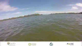 Coochin Creek Fish Habitats