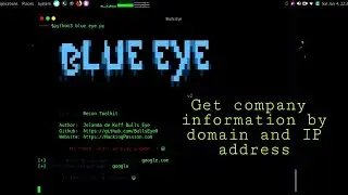 Blue Eye python recon toolkit | hacking tool | get information by domain