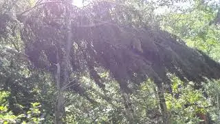 ROUGHLOCK FALLS SD