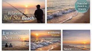 Peaceful Evening at Al Wajh Beach | Red Sea Waves, Fishing & Calm Ambience #AliShaikh #AliSkyVision