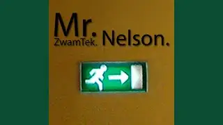 Mr. Nelson
