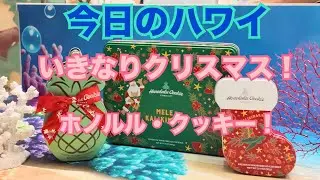 [Hawaii Today] Honolulu Cookies suddenly transformed into Christmas cookies! #Hawaii