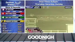 Flamboro Downs Live Stream 02/19/2026
