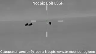 Nocpix Bolt L35R наблюдение на хищник 400м и дива свиня до 800м