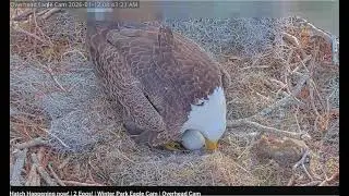 01 12 26 Mom removes stick