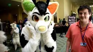 megaplex 2019