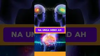 I can read your mind | Mr Brothers | Tamil #tricks #maths #vegetables
