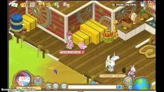 diffrent parties in animaljam-episode1 horses party only