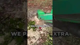 Stump Grinder Rental Worth The Money! #investment #realestate #fyp
