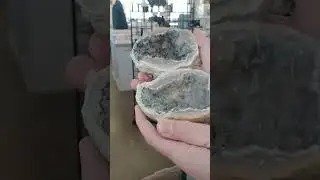 Big Pop! Let's Crack Open A Geode! #crystals #nature #geology #gems #quartz #cracking