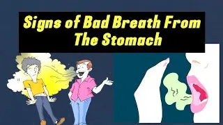 Bad Breath from the Stomach? Causes, Signs & How to Fix It!