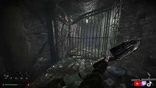 Chilling and Playing Total Chaos
