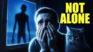 The Town&rsquo;s Missing Pets All Came Back&hellip; But Something Came With Them | Who are come with them ?