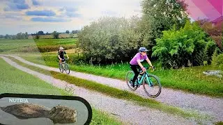 Gravel nella Pianura Padana: Tra Esondazioni nutrie un tour Enocicloculturale