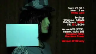 Wansen W160 (5600K) Led Light, Tungsten Filter On with White Card
