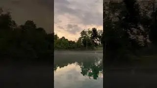 Misty evening at the spring pool #florida #springs #mist #coldwater #hot #paddleboarding #nature