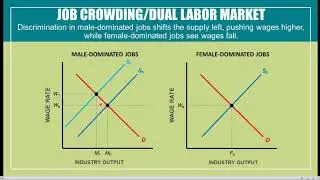 ECO 2023 Microeconomics -- Chapter 11.10: Segmented Labor Markets