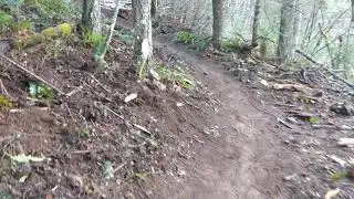 Finished trail @ Nestor Peak Connector