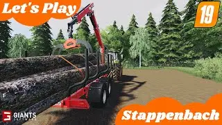 🚜 Stappenbach 2020 - Folge 029 Ein bisschen Holz h&auml;ckseln - MaizePlus Forage Extension - PC 🚜