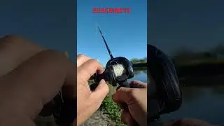C&Oacute;MO USAR EL REEL HUEVITO - COMO REGULAR EL REEL HUEVITO  #pescaconse&ntilde;uelos #pescadetararoras