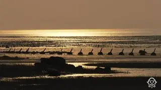 金門  西園&五龍山 / Kinmen Xiyuan - Wulongshan