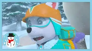 SNOW BOARDING EMERGENCY! 🚨 🆘 | PAW PATROL | WildBrain Kids
