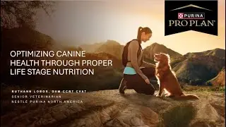 Good Dog Webinar: Optimizing Canine Health Through Proper Life Stage Nutrition