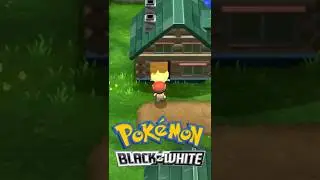 PAS de REMAKE de Pok&eacute;mon Noir et Blanc ?