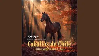 LA PITUCA