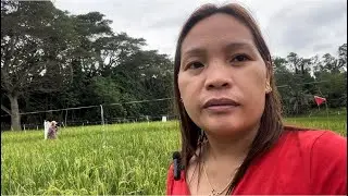 KAINGON KO UG MAHOMAN NAG OPERA WANAY SAKIT NGA BATION/ DI LALIM UG MA EMERGENCY
