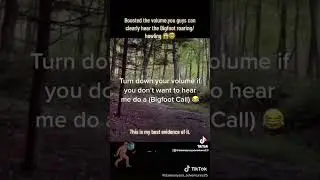 Bigfoot howling caught on Morgan&rsquo;s knob trail (Boosted version) #bigfoot #fyp #foryoupage #ohio