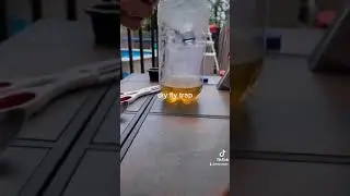 diy fly trap