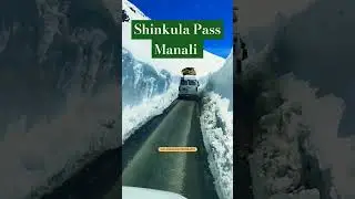 This is SHINKULA PASS in Himachal Pradesh 2023 | Travel Places #india #nature #adventure #ytshorts