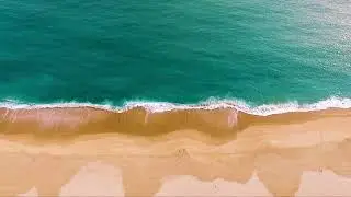 LIVE MUSIC: Relaxation | Stress Relief | Mind Relaxation