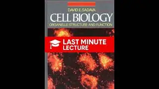 Cytoskeleton: Structure & Motility | Chapter 9 – Cell Biology: Organelle Structure & Function