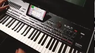 KORG PA4X الشعبي المزمار المصري