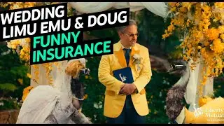 Wedding LiMu / Funny Commercial Insurance / Liberty Mutual