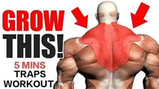 5 MINUTES TRAPS WORKOUT AT HOME. #boxing #traps #trapsworkout #workout #games #exercise #sports #ufc