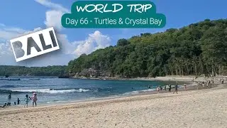 🛫 BALI! 🌏 Day 66 &ndash; Nusa Penida&ndash; Turtles (IVHQ) and Crystal Bay Beach!