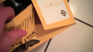 The Real Great Scott - There's a Hank in my box