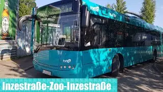 Bus Frankfurt am Main - Linie 31 Mitfahrt