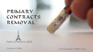 PRIMARY CONTRACTS REMOVAL &ndash; Paris Conference 2022.