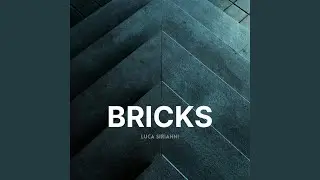 Bricks