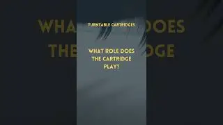 Turntable Cartridges: The Heart of Sound #vinylcommunity #audiophile #vinyl #hifi #records