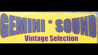 GEMINI SOUND SYSTEM Ft RINGO   BURRO   SQUIDDLY  PETER METRO    MIKEY IRIE