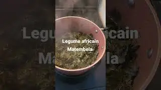 Legume africain Matembela