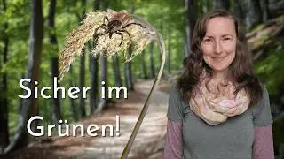Der ultimative Zecken-Guide für Naturfreunde