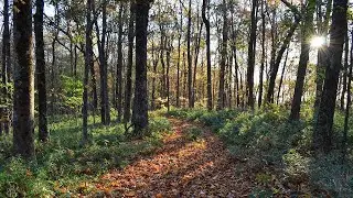 Exploring Georgia's Lost Appalachian Trail