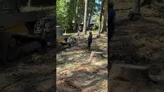 How to Get Your Skid Steer Unstuck#skidsteerloader #skidsteers #treecutting #treeremoval #treewisdom