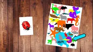 HiddenAnimals Video